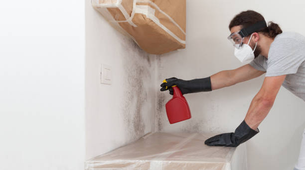 Professional Bathroom Mold Removal technician working in Potomac, MD