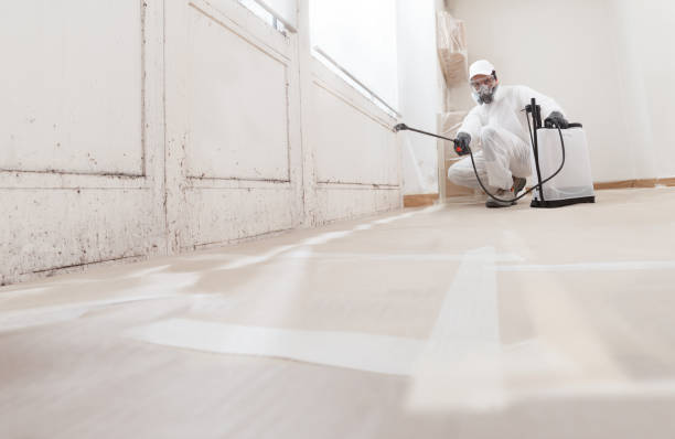 24/7 Emergency Bathroom Mold Removal experts in Potomac, MD